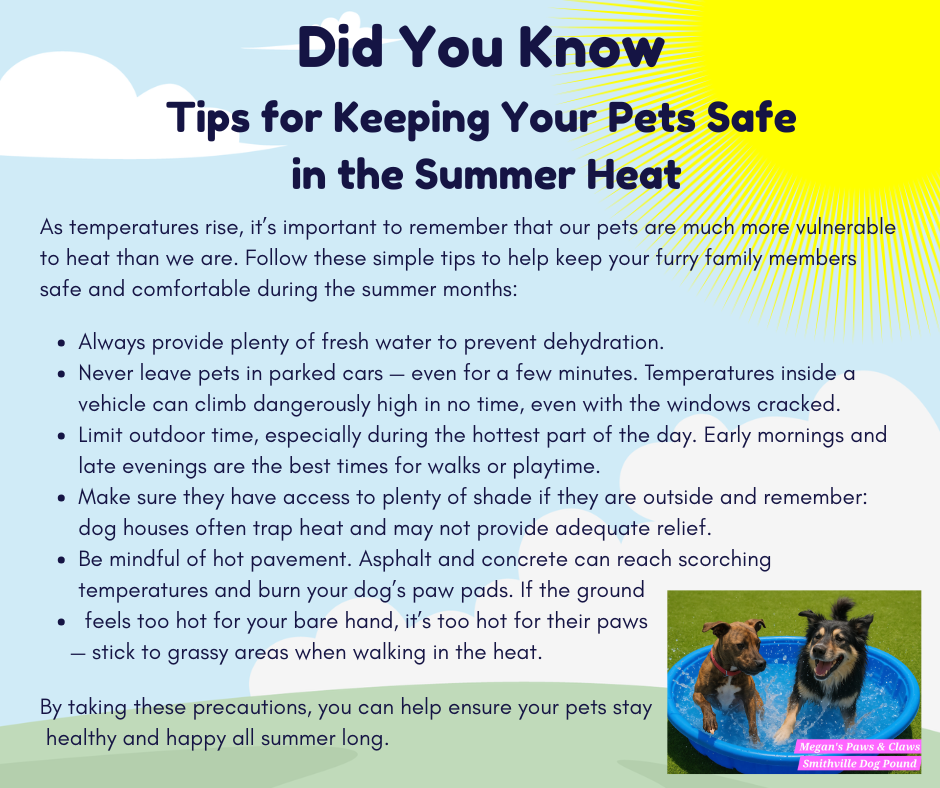 Did You Know - Keep Your Pets Safe in the Summer Heat